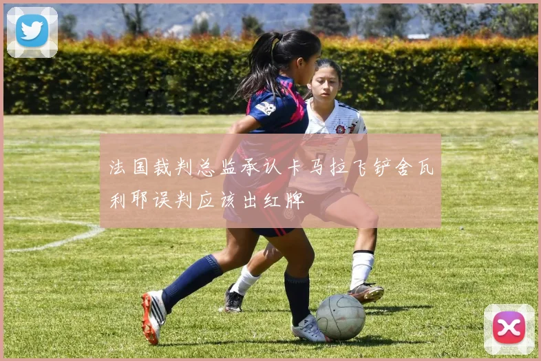法国裁判总监承认卡马拉飞铲舍瓦利耶误判应该出红牌